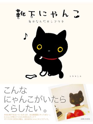 cover image of 靴下にゃんこ　毎日なんだかシアワセ